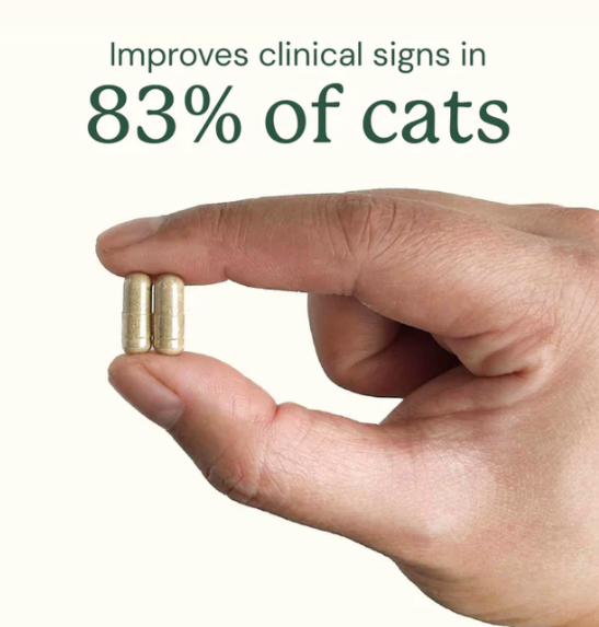 Load image into Gallery viewer, Animal Biome Gut Restore FMT for Cats 30ct
