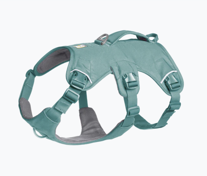 Load image into Gallery viewer, Ruffwear Web Master River Rock Green
