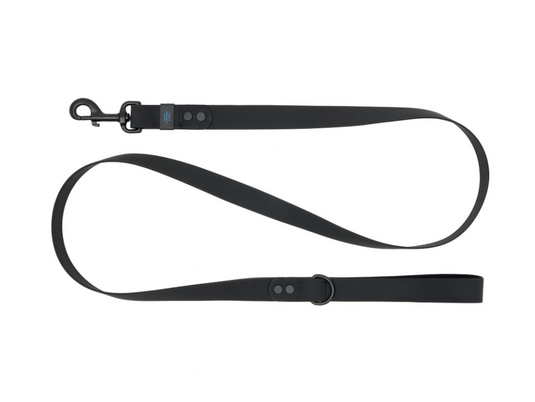 RC Pets Waterproof Leash 5' x 1''