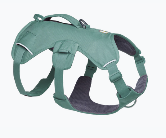 Ruffwear Web Master River Rock Green