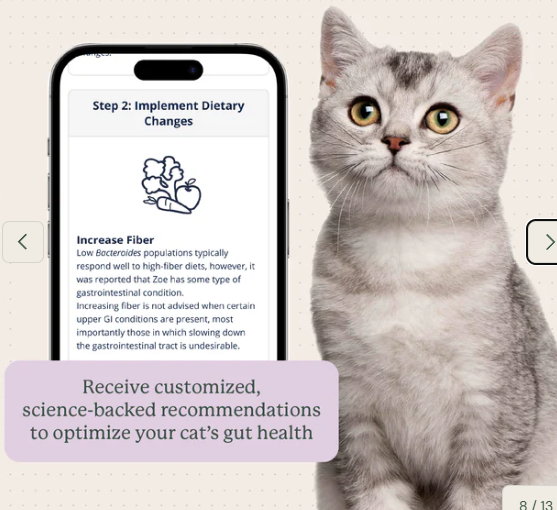 Load image into Gallery viewer, Animal Biome Gut Microbiome Health Test for Cats

