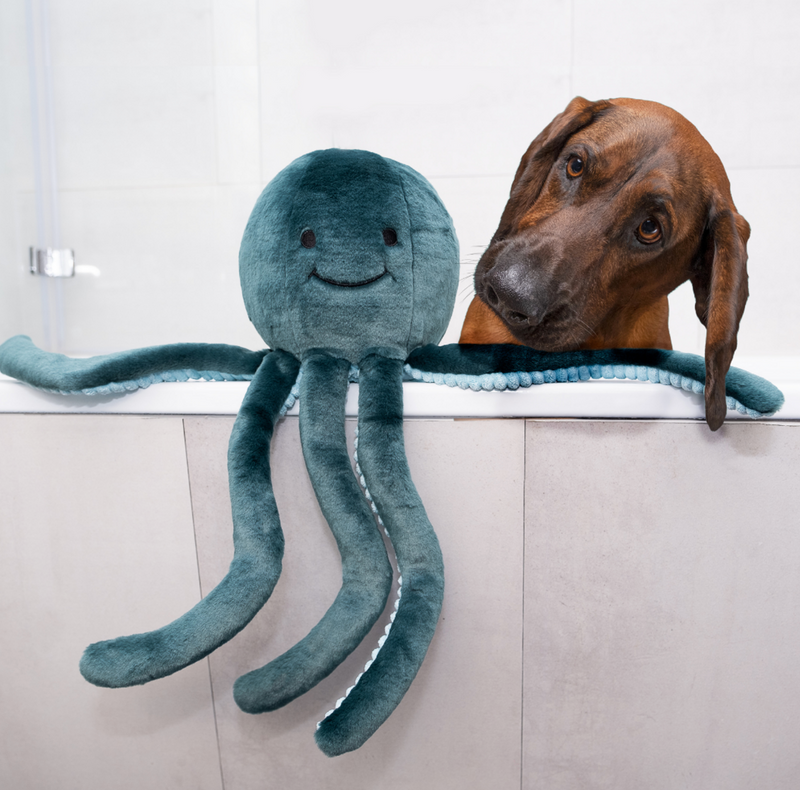 Load image into Gallery viewer, Fluff N Tuff Stevie Octopus 21&#39;&#39;
