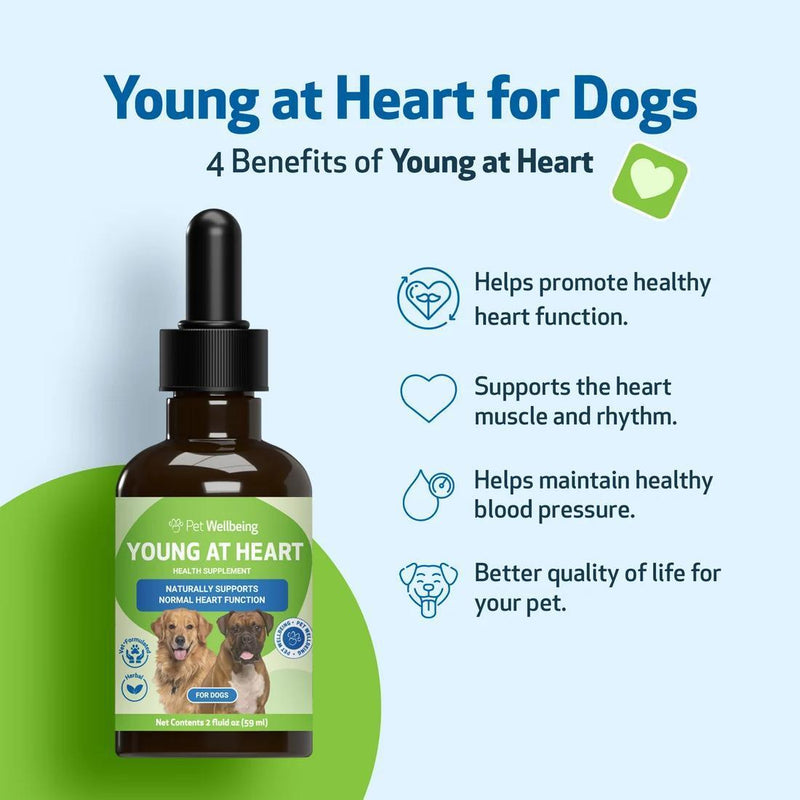 Load image into Gallery viewer, Pet Wellbeing Young At Heart
