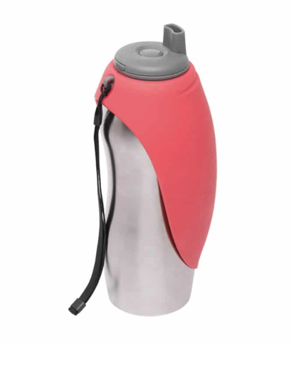 Messy Mutts Water Bottle Stainless - Discover Dogs