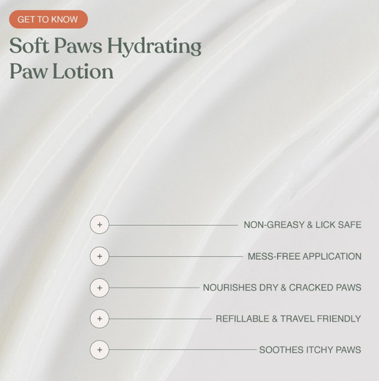 Dandylion Soft Paws Hydrating Paw Lotion