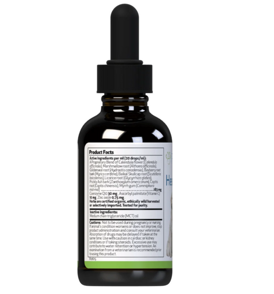 Pet Wellbeing Healthy Gums