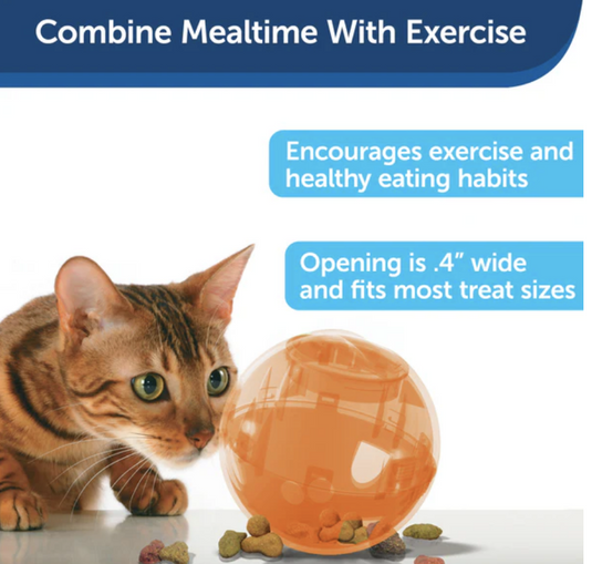 PetSafe SlimCat