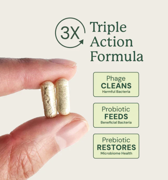 Load image into Gallery viewer, Animal Biome Gut Maintain for Cats 60ct
