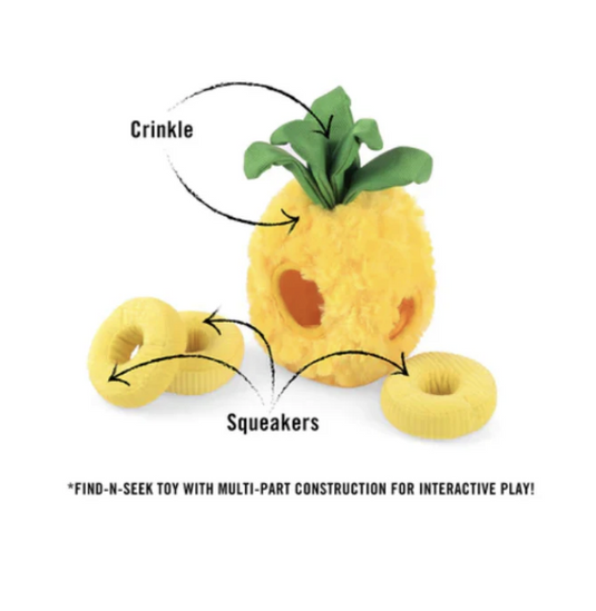 PLAY Tropical Paradise Paws Up Pineapple