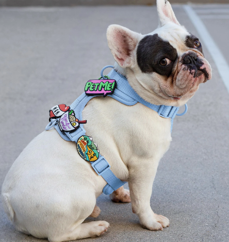Load image into Gallery viewer, Jiby Dog Peeing Outdoors
