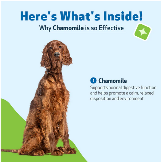 PW Chamomile for Dogs