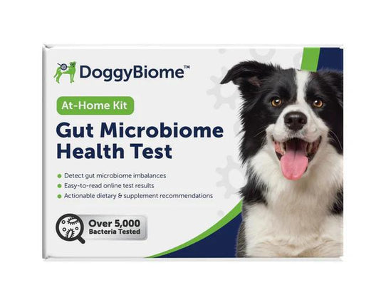 DoggyBiome Gut Microbiome Health Test for Dogs