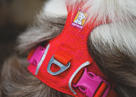 Load image into Gallery viewer, Ruffwear Front Range Flex Harness Rose Violet
