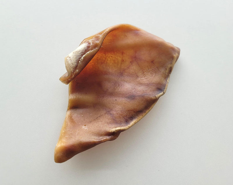Load image into Gallery viewer, Dehydrated Pig Ear - Discover Dogs
