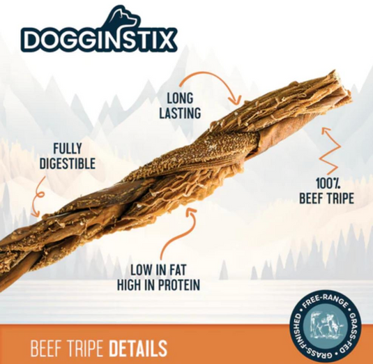 Dogginstix Braided Beef Tripe 12"