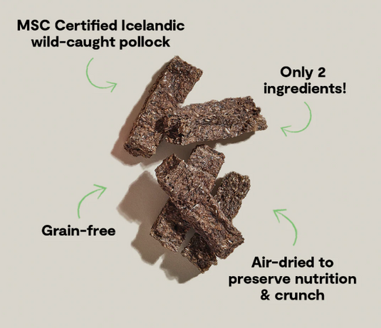 Open Farm Air-Dried Pollock & Blueberry Bars 4.1oz