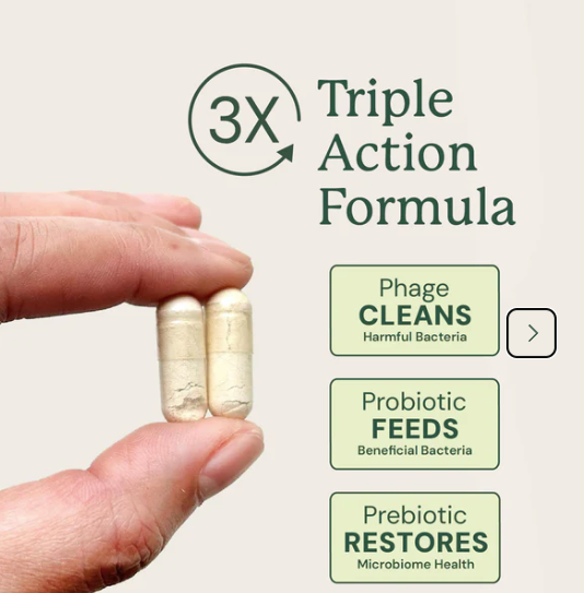 Animal Biome Gut Maintain for Dogs 60ct