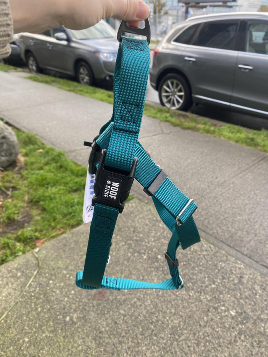 Woof & Stuff Basecamp Harness Turqoise