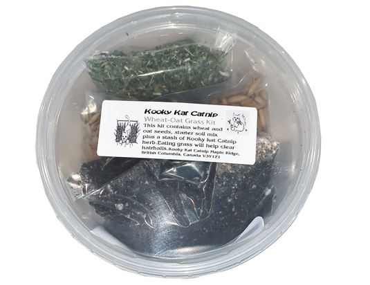 Kooky Kat Grow Your Own Wheat & Oat Grass w/ Soil