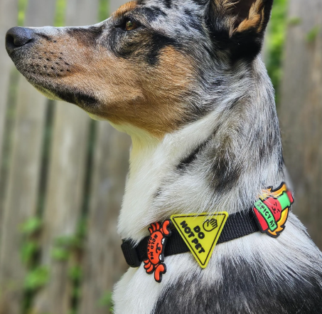 Jiby Dog Charm Do Not Pet