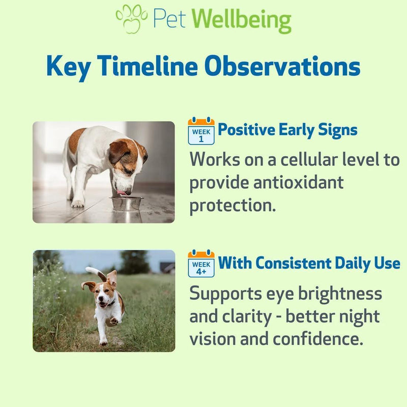 Load image into Gallery viewer, Pet Wellbeing Bilberry Supports Healthy Vision &amp; Capillaries in Dogs
