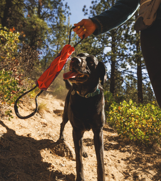 Load image into Gallery viewer, Ruffwear Remix Cactus Tug Toy

