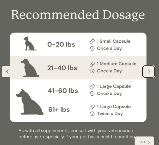 Animal Biome Gut Maintain for Dogs 60ct