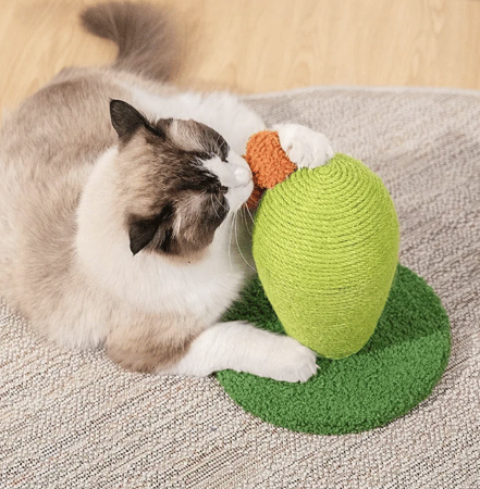 One For Pets Cat Scratcher Catcus - Mini