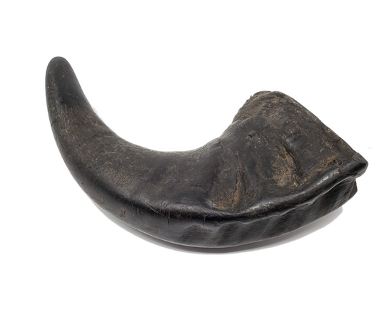 Open Range Water Buffalo Horn Small