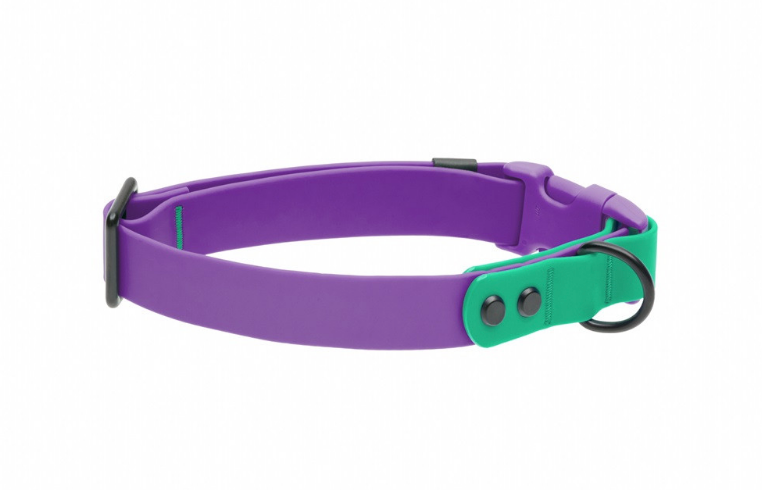 Load image into Gallery viewer, RC Pets Waterproof Collar Purple/Parakeet
