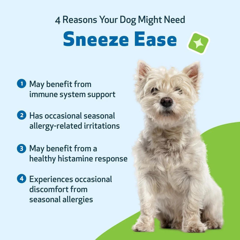 Load image into Gallery viewer, Pet Wellbeing Nettle Eyebright Gold (Sneeze Ease)
