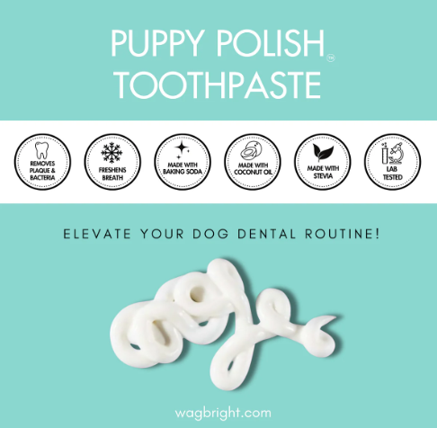 Load image into Gallery viewer, Wag &amp; Bright Puppy Polish Natural Canine Toothpaste Filet Mignon

