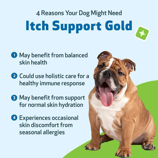 Pet Wellbeing Itch Support Gold