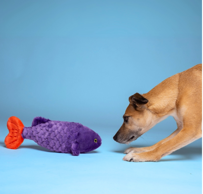 Load image into Gallery viewer, Fluff &amp; Tuff Cici The Tropical Fish 14"
