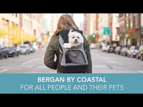 Bergan Comfort Carrier Black/Grey