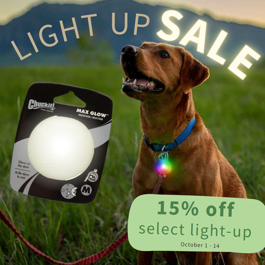 Light-Up Sale