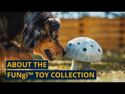 Load and play video in Gallery viewer, Ruffwear Porcini Toy
