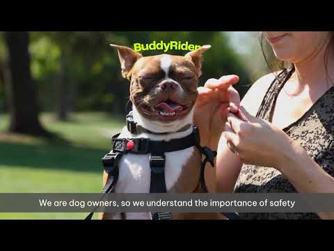 Load and play video in Gallery viewer, Buddy Rider Series 2
