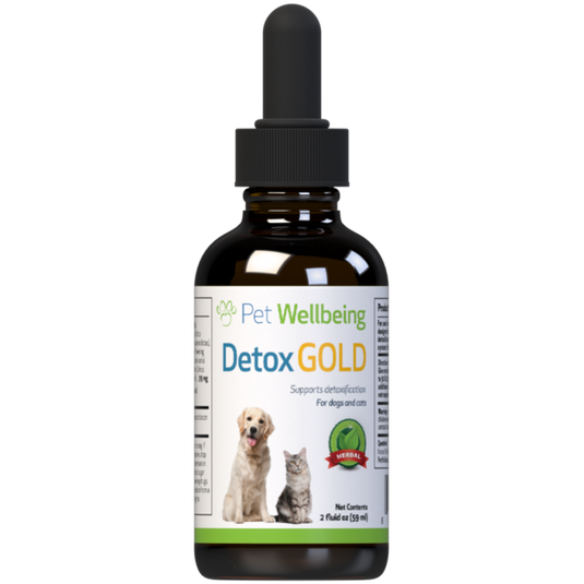 PW Detox Gold - Discover Dogs