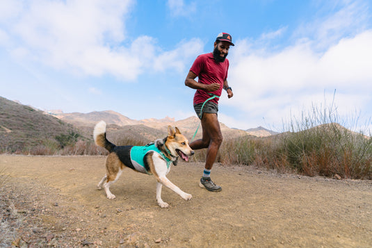 Ruffwear Swamp Cooler Zip Vest Aurora Teal