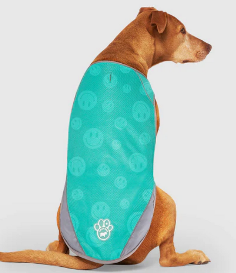 Load image into Gallery viewer, Canada Pooch Chill Seeker Cooling Vest Wet Reveal Green Smiley
