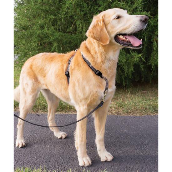 Load image into Gallery viewer, PetSafe 3 in 1 Harness Black - Discover Dogs
