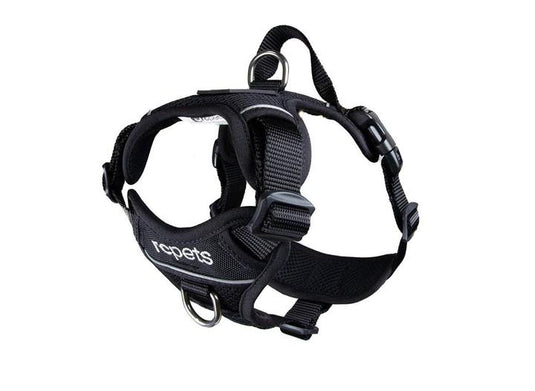 RC Momentum Harness Black - Discover Dogs Online