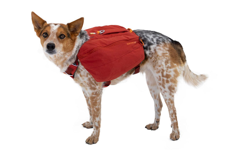 Load image into Gallery viewer, Ruffwear Front Range Day Pack Aurora Teal
