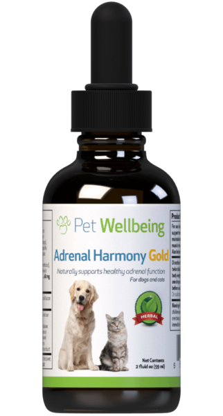 Load image into Gallery viewer, PW Adrenal Harmony Gold - Discover Dogs Online

