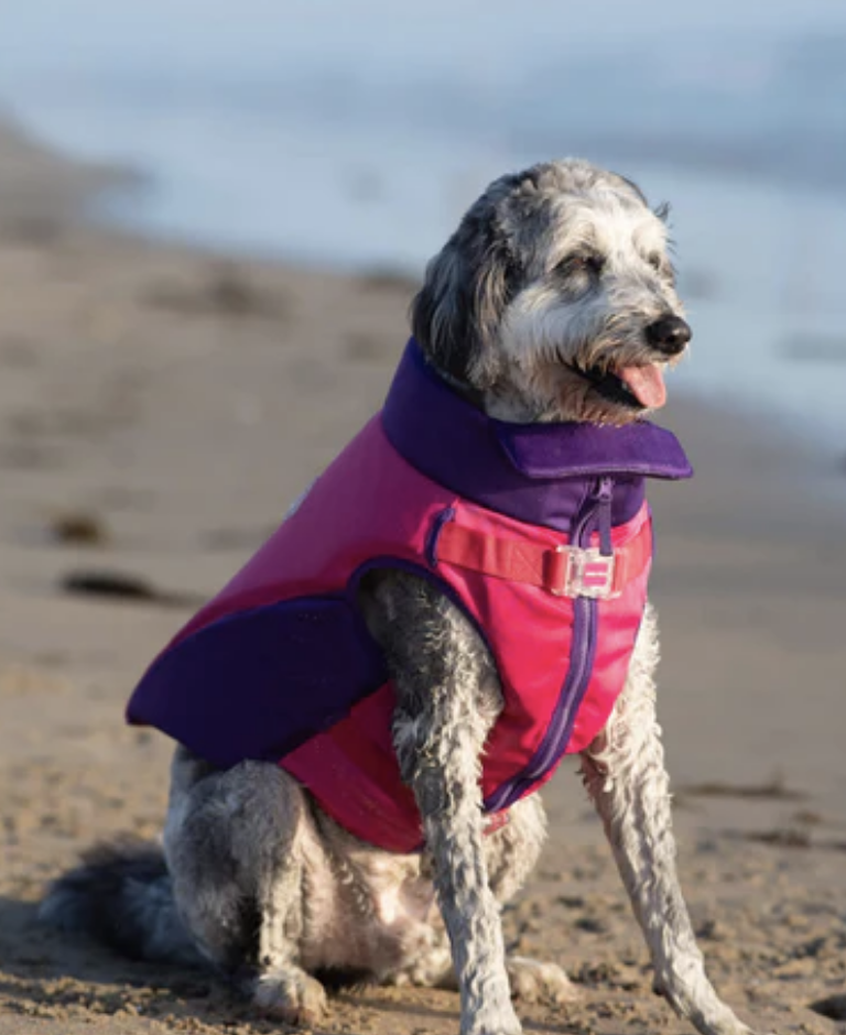 Load image into Gallery viewer, Canada Pooch High Tide Life Jacket Pink/Purple
