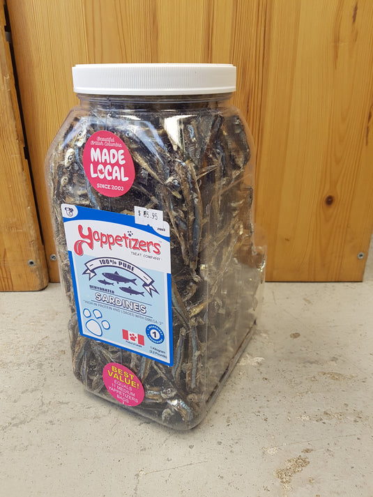 Yappetizers Sardines Bulk 1kg - Discover Dogs