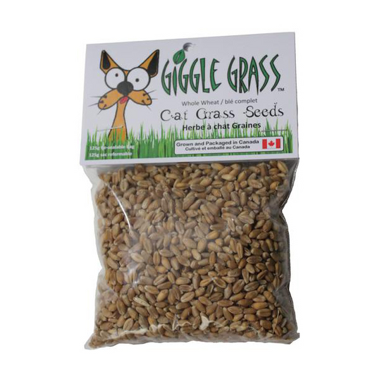 Giggle Grass Cat Grass Seeds 125g