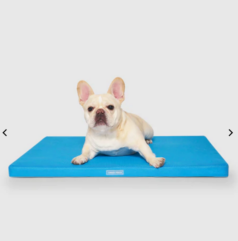 Load image into Gallery viewer, Canada Pooch Chill Out Cooling Mat
