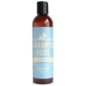 Black Sheep Allergy Free Organic Shampoo